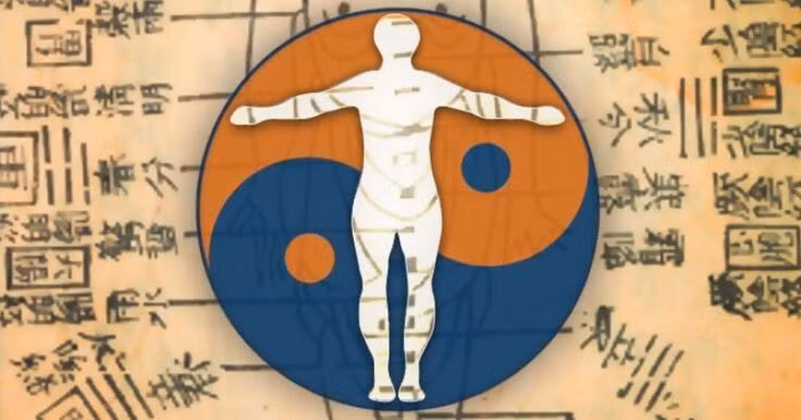 Thuốc bổ Đông y thường được chia làm 4 loại: bổ khí, bổ huyết, bổ âm, bổ dương