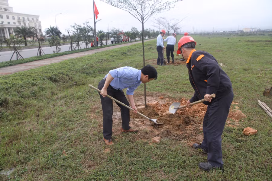 Formosa Hà Tĩnh phủ hơn nửa triệu cây xanh trên 200ha trong khuôn viên nhà máy ảnh 3