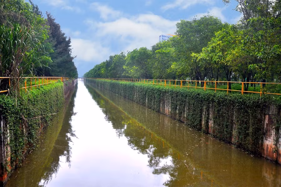 Hệ thống cây xanh đã góp phần khiến khuôn viên khu nhà máy trở nên mát mắt, trong lành hơn.