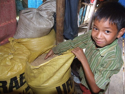 Những hạt thóc đầu tiên do người Rục làm ra Những hạt thóc đầu tiên do người Rục làm ra