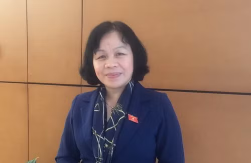 Đại biểu Quốc hội Nguyễn Thị Mai Hoa -đoàn Đồng Tháp