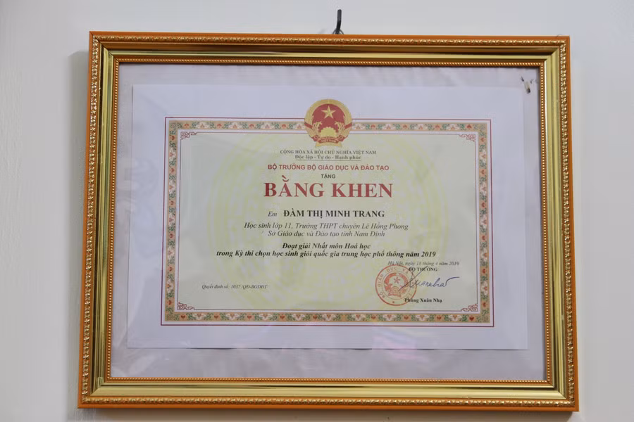 Đàm Thị Minh Trang từng đoạt giải nhất môn Hóa học Kỳ thi chọn học sinh giỏi quốc gia trung học phổ thông năm 2019.