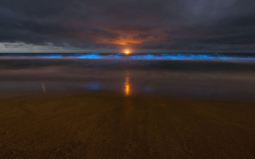 Dawn breaks over phosphorescent blue waves on Stanwell Park beach, south of Sydney, after algae, noctiluca scintillans, forced swimmers and surfers out of the water at Sydney’s Bondi and a number of neighbouring beaches. Beaches around southeastern Australia’s coastline reopened after a red algal bloom forced them to close to the public.
