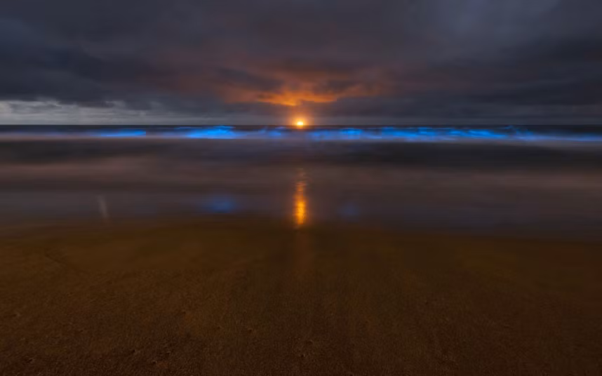 Dawn breaks over phosphorescent blue waves on Stanwell Park beach, south of Sydney, after algae, noctiluca scintillans, forced swimmers and surfers out of the water at Sydney’s Bondi and a number of neighbouring beaches. Beaches around southeastern Australia’s coastline reopened after a red algal bloom forced them to close to the public.