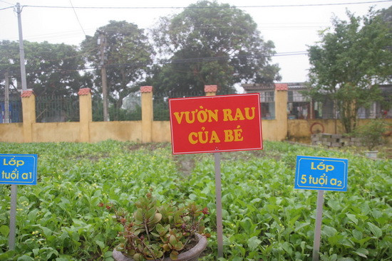 Vườn rau của bé- một mô hình giúp trẻ tiếp cận với thiên nhiên Vườn rau của bé- một mô hình giúp trẻ tiếp cận với thiên nhiên