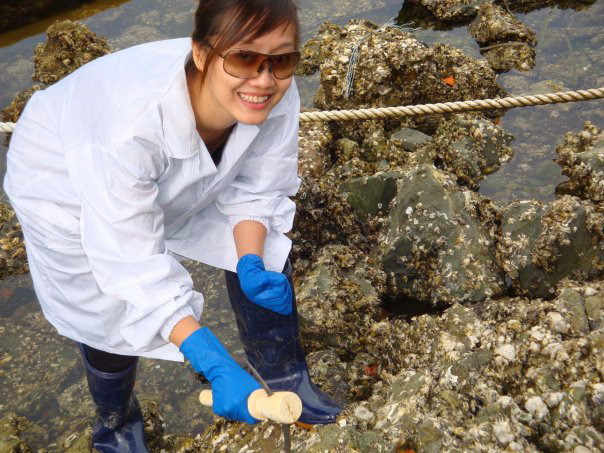 Lấu mẫu Hàu biển trên đá để kiểm tra mức độ ô nhiễm dầu – Viện Nghiên cứu biển Hàn Quốc KORDI 