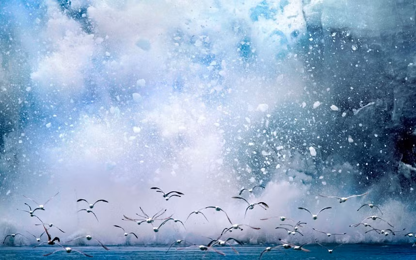 A massive slice of a glacier crashes into the sea, scaring a flock of seabirds. The huge slab of ice slipped from the Chenega Glacier into the ocean at Prince William Sound, Alaska, and was caught on camera by photographer Jon Cornforth.