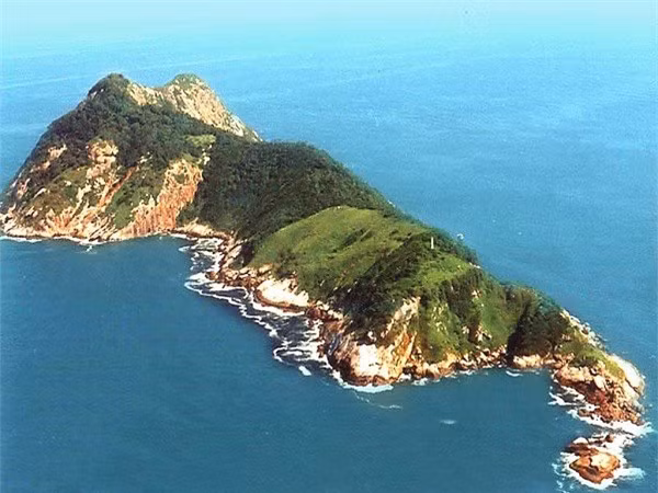 Giải mã bí ẩn về loài rắn lục đầu giáo vàng có nọc độc kinh hoàng, có thể làm tan thịt người - Ảnh 1.