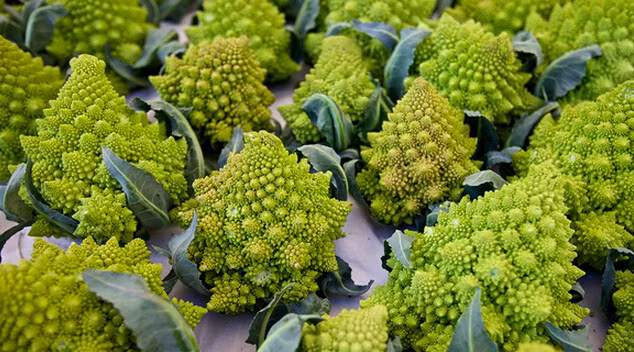 9 loại rau củ kỳ lạ trên thế giới, chỉ nhìn thôi cũng đủ ngạc nhiên - Ảnh 12.