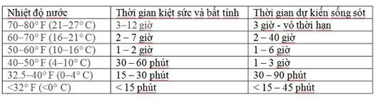Bí kíp thoát thân khi tàu thuyền bị chìm giữa biển - Ảnh 11. Bí kíp thoát thân khi tàu thuyền bị chìm giữa biển - Ảnh 11.