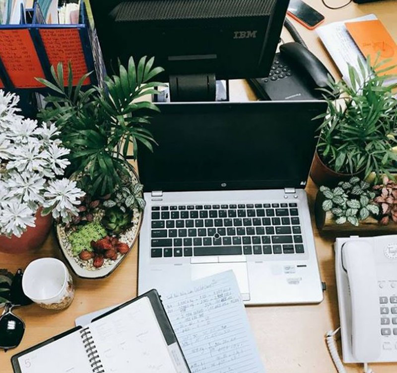 Chọn cây cảnh theo phong thủy để để bàn hợp mệnh phong thủy - Ảnh 2. Chọn cây cảnh theo phong thủy để để bàn hợp mệnh phong thủy - Ảnh 2.