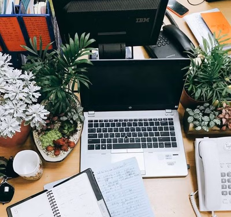 Chọn cây cảnh theo phong thủy để để bàn hợp mệnh phong thủy - Ảnh 2.