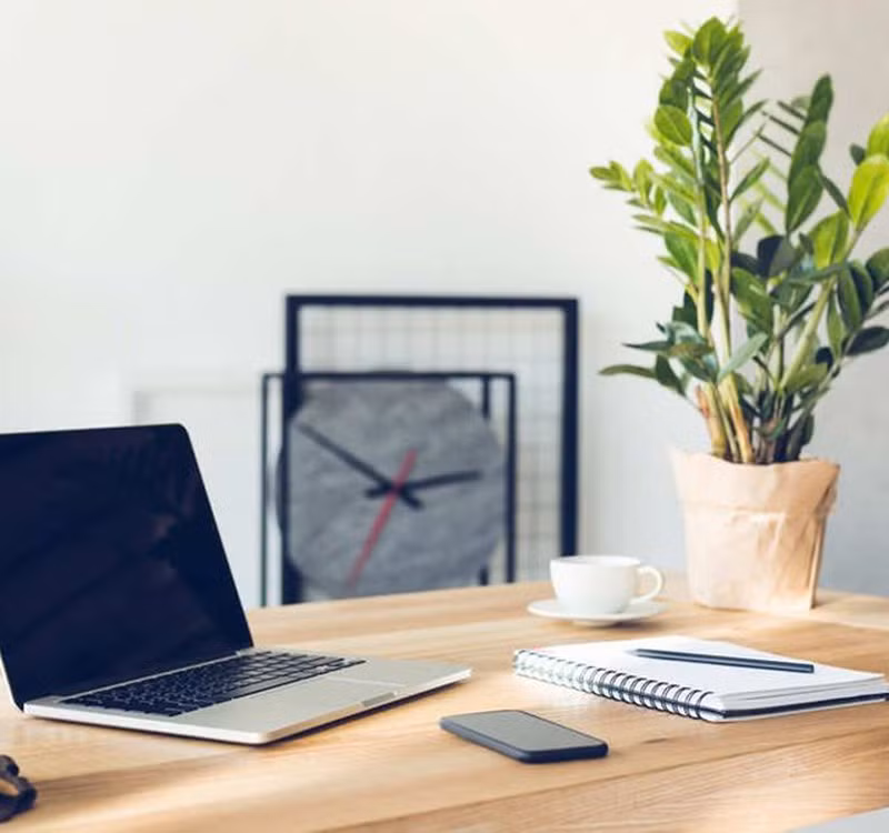 Chọn cây cảnh theo phong thủy để để bàn hợp mệnh phong thủy - Ảnh 3.