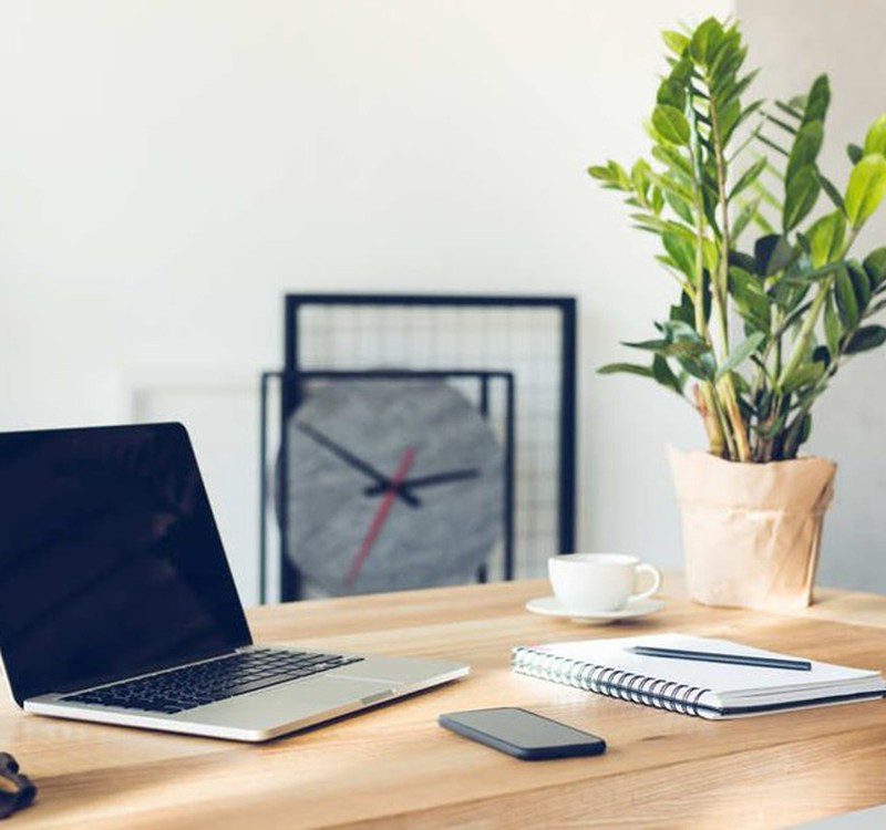 Chọn cây cảnh theo phong thủy để để bàn hợp mệnh phong thủy - Ảnh 3. Chọn cây cảnh theo phong thủy để để bàn hợp mệnh phong thủy - Ảnh 3.