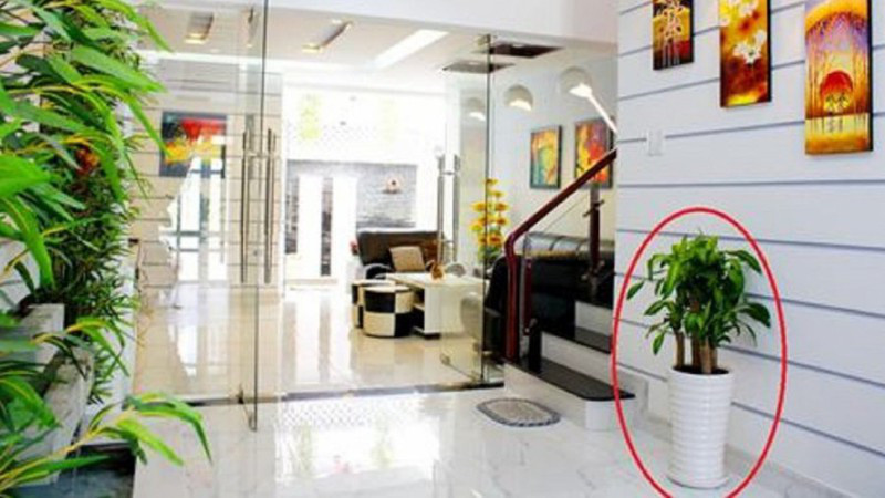 Cuối năm Canh Tý, nhớ làm 4 điều này khi dọn nhà để mang lại phúc lộc dồi dào - Ảnh 2.