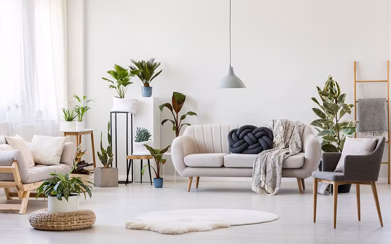 Trang trí phòng khách chuẩn phong thủy để năm Tân Sửu tài lộc thịnh vượng, gia đạo ấm êm - Ảnh 4.