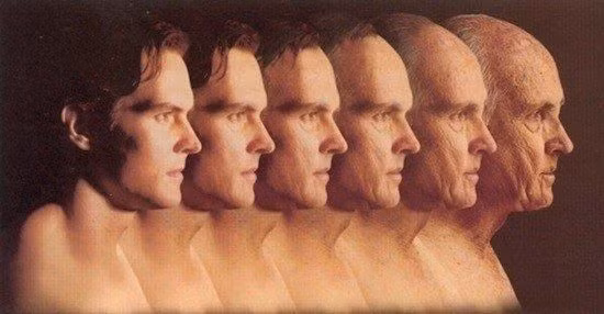 Rùng mình trước 20 bí quyết giúp "trường sinh bất lão" của người xưa - Ảnh 5.