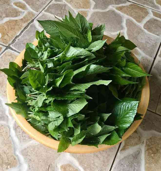 Đem loài cây mọc dại đầy ngoài đồng về xào tỏi, nghe tưởng dở ai ngờ khách nức nở khen ngon - Ảnh 4. Đem loài cây mọc dại đầy ngoài đồng về xào tỏi, nghe tưởng dở ai ngờ khách nức nở khen ngon - Ảnh 4.