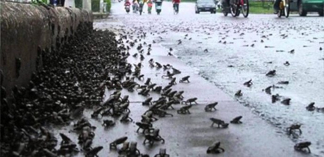 Kinh ngạc top sự kiện hiếm có khó tin trong lịch sử - Ảnh 6.