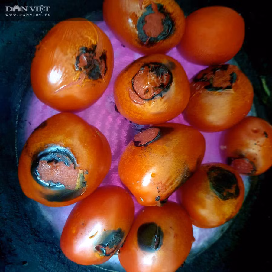 Mẹo nhỏ làm món xíu mại màu đẹp tự nhiên, dậy mùi thơm hấp dẫn - Ảnh 3. Mẹo nhỏ làm món xíu mại màu đẹp tự nhiên, dậy mùi thơm hấp dẫn - Ảnh 3.