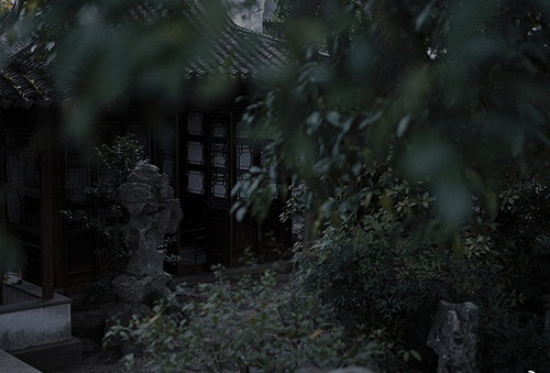 Mẹ chồng thử lòng con dâu để rồi gây ra chuyện ân hận cả đời - Ảnh 2. Mẹ chồng thử lòng con dâu để rồi gây ra chuyện ân hận cả đời - Ảnh 2.