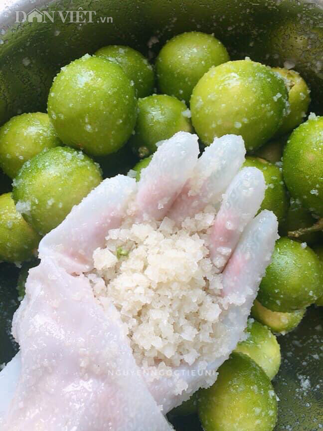Cách làm chanh muối vàng ươm, thơm lừng như nắng sớm ngày hè ảnh 1 Cách làm chanh muối vàng ươm, thơm lừng như nắng sớm ngày hè ảnh 1