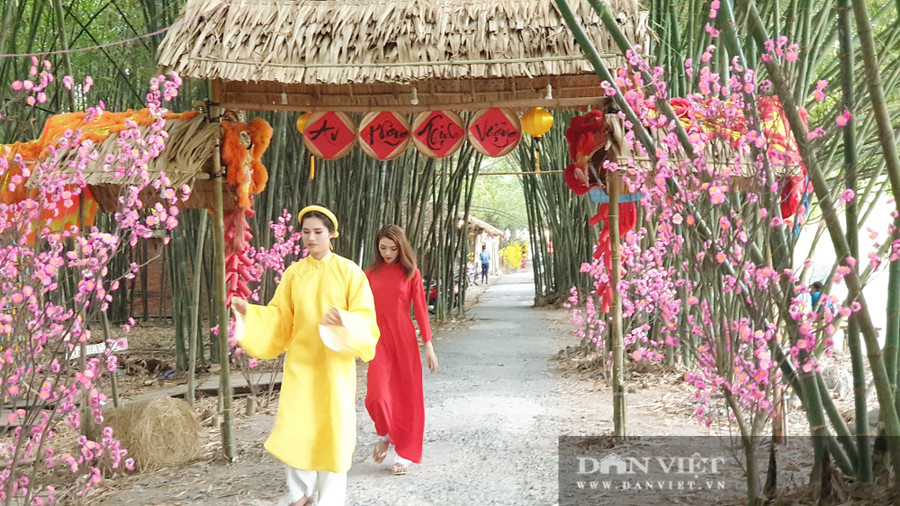 Khám phá vườn tre đẹp nhất miền Tây có tuổi đời 30 năm - Ảnh 4.