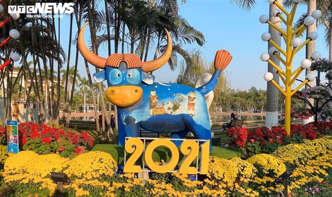 Đặc biệt, "Trâu 2021" ở đường hoa xuân Bắc Ninh thu hút người tham quan chụp ảnh. Chú trâu này nổi tiếng trên mạng xã hội nhiều ngày qua vì tạo hình thú vị, gây cười. Ảnh: VTC News