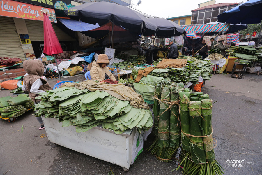 Những chiếc lá dong được bó cẩn thận. Những chiếc lá dong được bó cẩn thận.