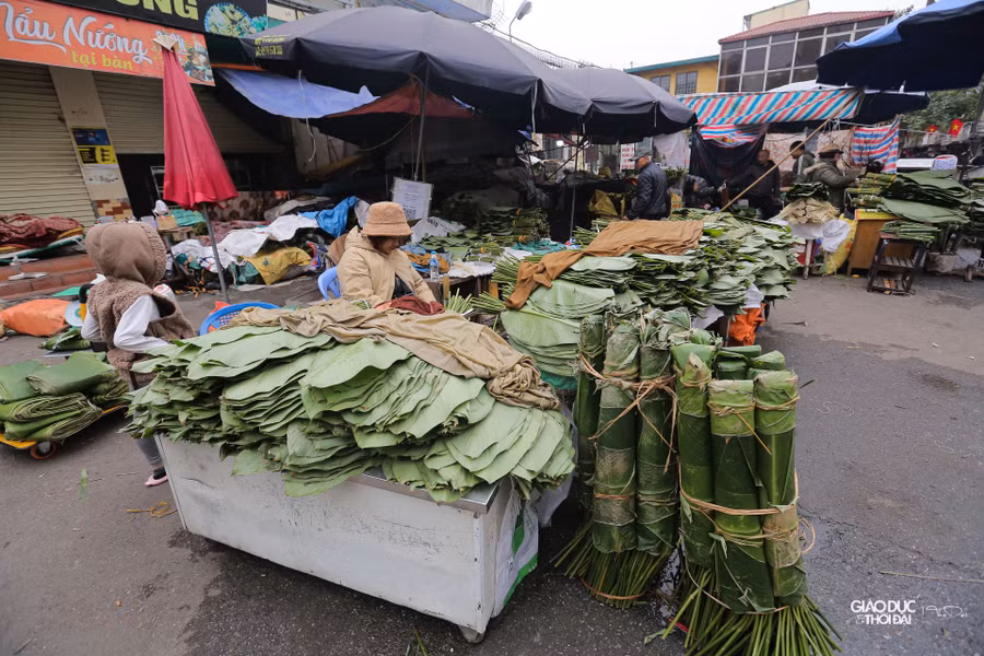 Những chiếc lá dong được bó cẩn thận.