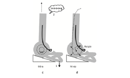 Tư thế ngồi thiền và cảm nhận hơi thở. Ảnh: Trái Tim Vàng.