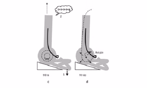 Tư thế ngồi thiền và cảm nhận hơi thở. Ảnh: Trái Tim Vàng.