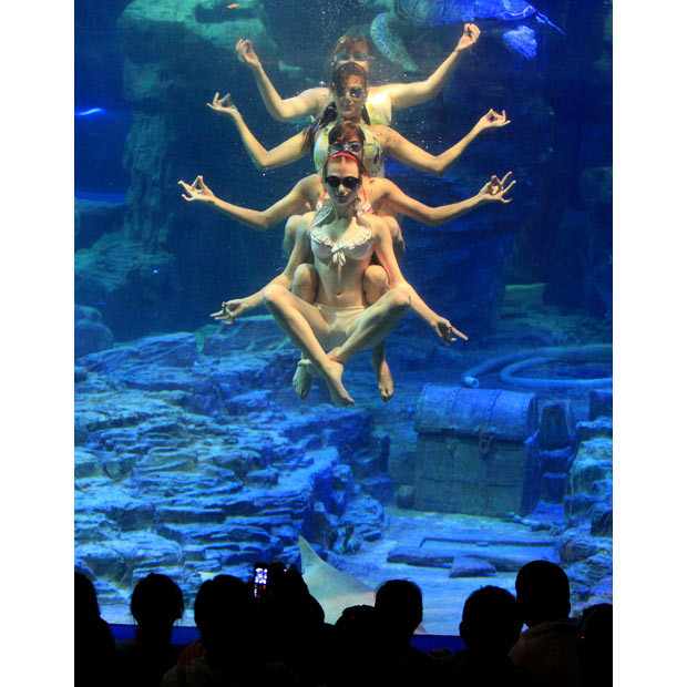 Những hình ảnh ấn tượng trong tuần ảnh 8 Russian synchronised swimmers perform ballet underwater at the Donghu Ocean World aquarium in Wuhan, capital city of central China’s Hubei Province