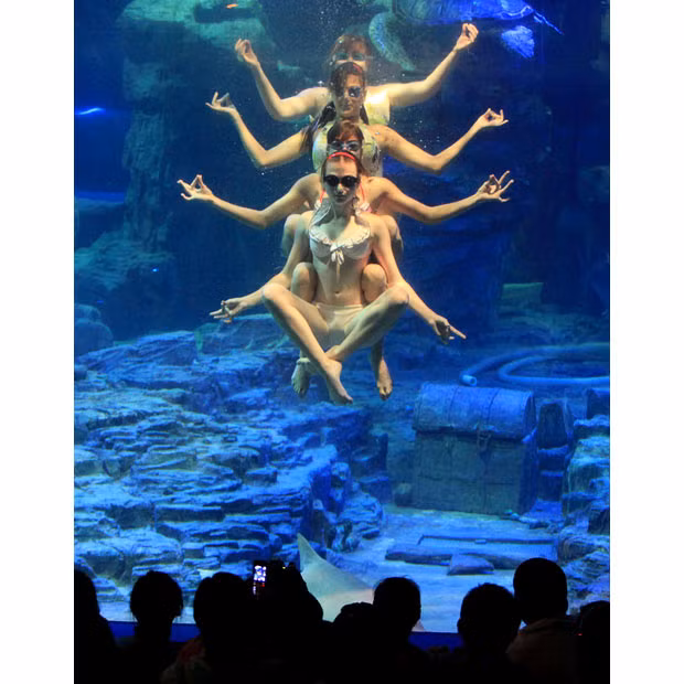 Russian synchronised swimmers perform ballet underwater at the Donghu Ocean World aquarium in Wuhan, capital city of central China’s Hubei Province