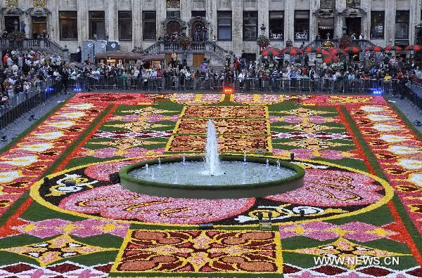 Ngắm thảm hoa khổng lồ tại Bỉ ảnh 6