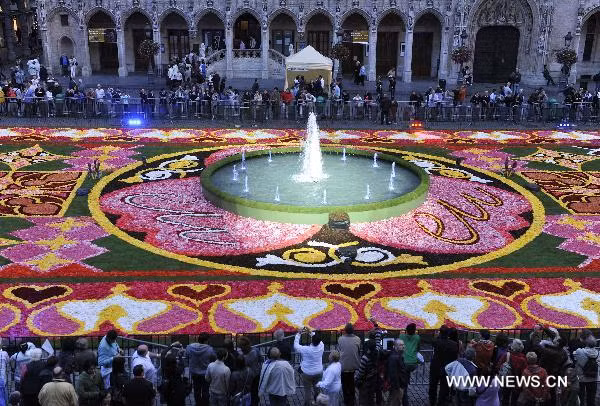 Ngắm thảm hoa khổng lồ tại Bỉ ảnh 3