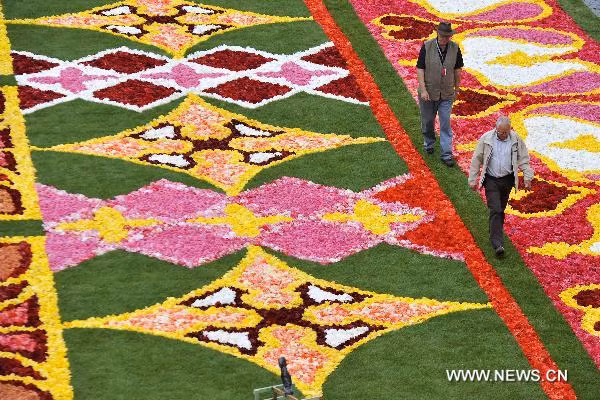 Ngắm thảm hoa khổng lồ tại Bỉ ảnh 5