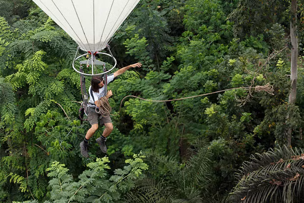 Eden Project horticulturist John Nichol throws down ropes as he moves above the canopy of the Rainforest Biome using a helium balloon. The tethered balloon allows the team of gardeners at the Cornish attraction the chance to reach the top of the canopy in the Biome - which is the biggest greenhouse in the world - so they can prune fast-growing trees such as balsa and kapok, which have reached the 50m ceiling. The Rainforest Biome is the larger of Eden’s two covered biomes, and is 100 metres wide, 200 metres long and 55 metres high and contains tropical plants such as banana trees, coffee, rubber and giant bamboo