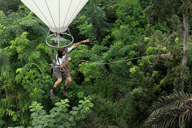 Những hình ảnh ấn tượng trong tuần ảnh 4 Eden Project horticulturist John Nichol throws down ropes as he moves above the canopy of the Rainforest Biome using a helium balloon. The tethered balloon allows the team of gardeners at the Cornish attraction the chance to reach the top of the canopy in the Biome - which is the biggest greenhouse in the world - so they can prune fast-growing trees such as balsa and kapok, which have reached the 50m ceiling. The Rainforest Biome is the larger of Eden’s two covered biomes, and is 100 metres wide, 200 metres long and 55 metres high and contains tropical plants such as banana trees, coffee, rubber and giant bamboo