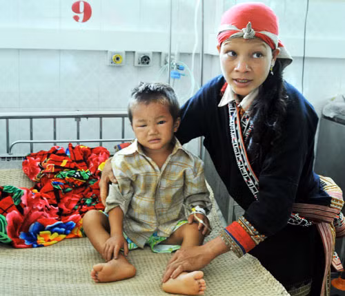 Đàn ong dữ bất ngờ tấn công trường học, 1 HS tử vong