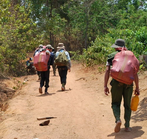 Gia Lai: Tái diễn làn sóng &quot;săn&quot; trầm