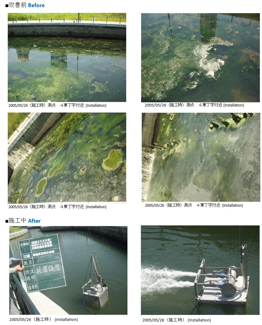 Sông Onga Nhật Bản được xử lý năm 1994.