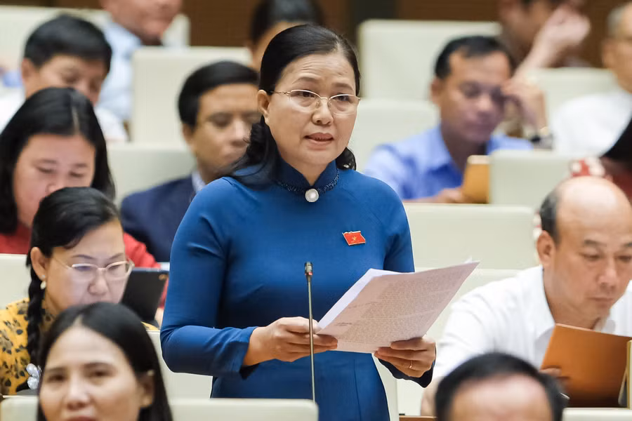 Đại biểu Đỗ Thị Lan - Đoàn ĐBQH tỉnh Quảng Ninh