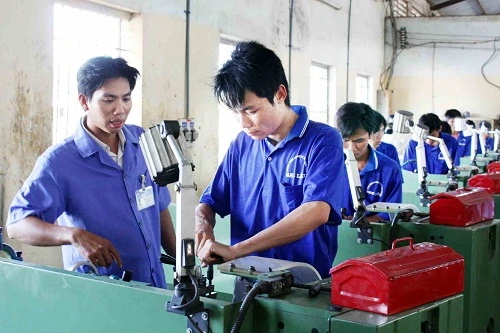 Hơn 11% thanh niên thành thị thiếu việc làm