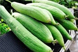 Ăn quả mướp tốt cho sức khỏe