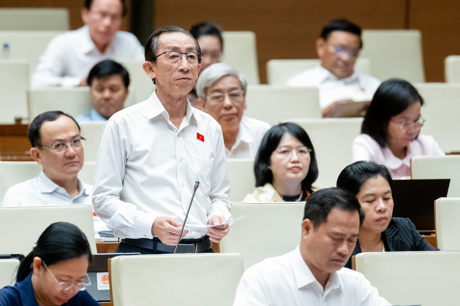 Đại biểu Trần Hoàng Ngân (Đoàn ĐBQH TPHCM).