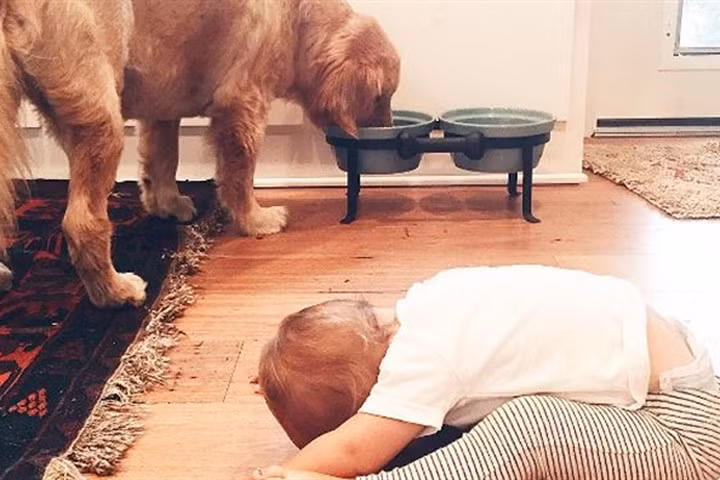 Phì cười với những lý do khóc lóc, ăn vạ vô lý của trẻ con