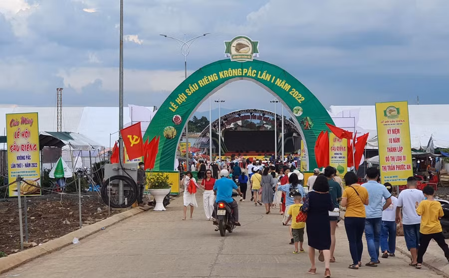 Lễ hội sẽ là cú hích cho trái sầu riêng Đắk Lắk vươn lên trở thành một trong những sản phẩm chủ lực của địa phương. Lễ hội sẽ là cú hích cho trái sầu riêng Đắk Lắk vươn lên trở thành một trong những sản phẩm chủ lực của địa phương.