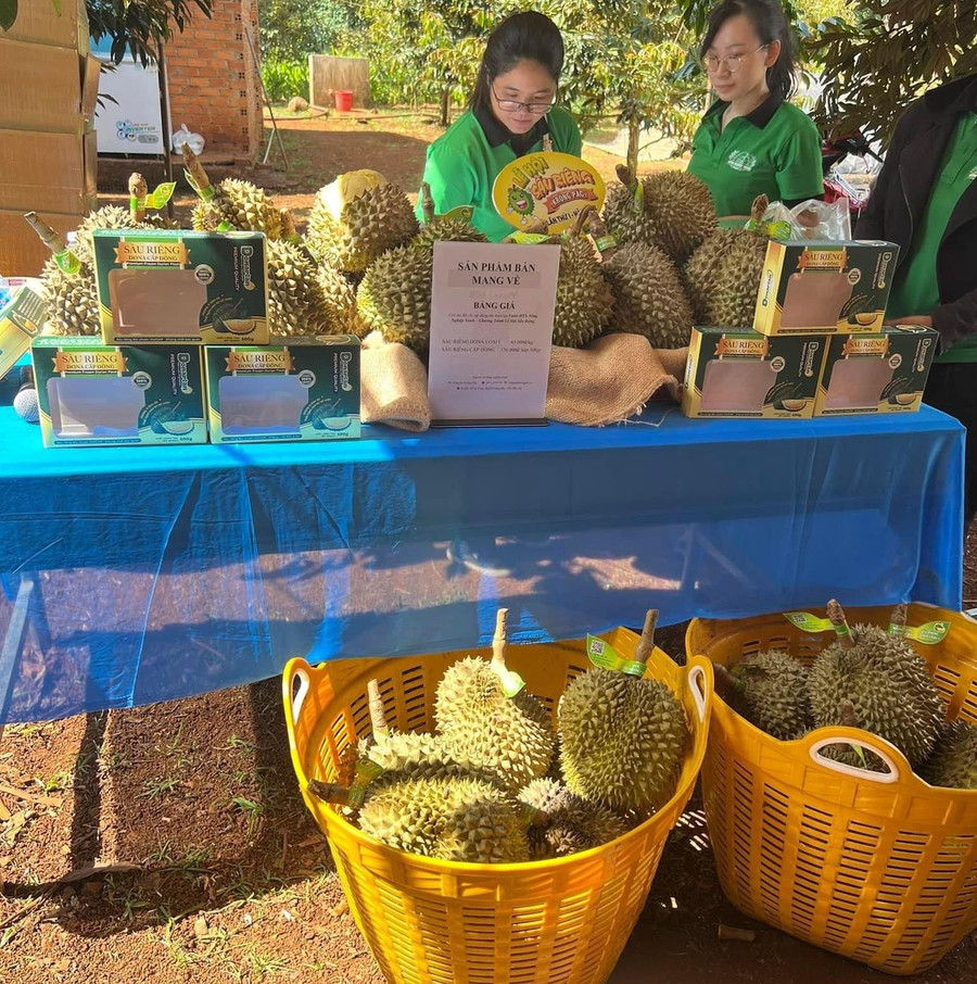Sầu riêng mang lại hiệu quả kinh tế cao cho người dân Krông Pắc.