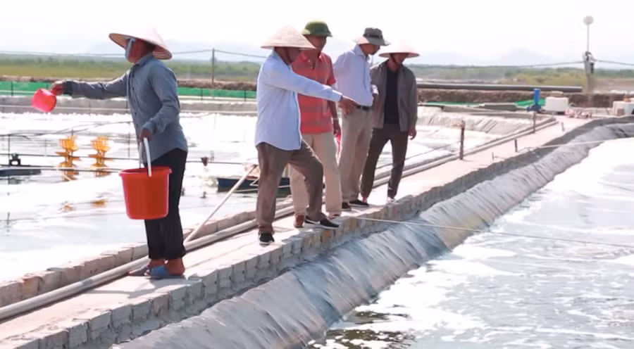 Kinh tế biển đang giúp Đồng Rui không chỉ giảm nghèo bền vững mà vươn lên làm giàu.